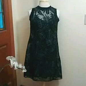 Heidi Weisel Dress with Slip